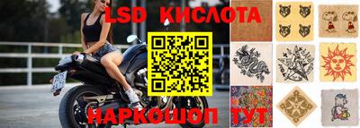 стафф Краснознаменск