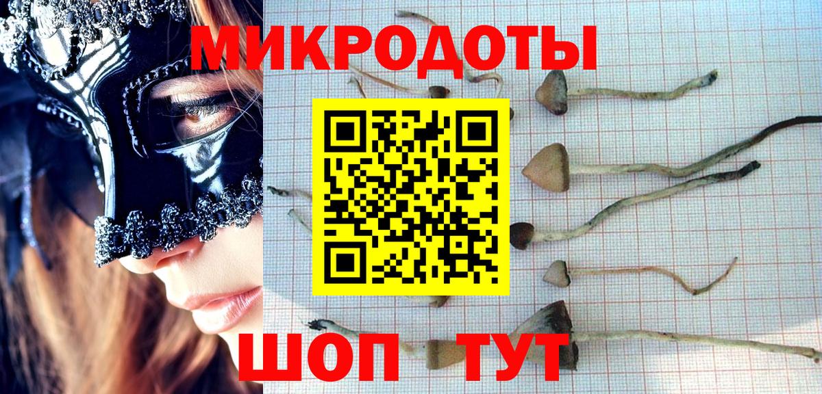 Галлюциногенные грибы Psilocybine cubensis  Вход с VPN  Великий Устюг  Псилоцибиновые грибы Psilocybe 