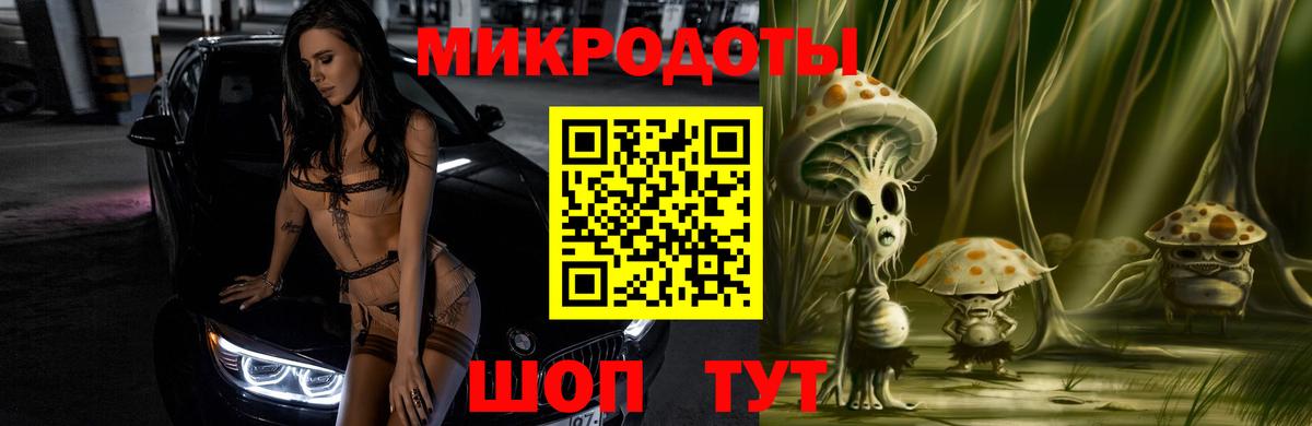 Псилоцибиновые грибы Psilocybe Великий Устюг